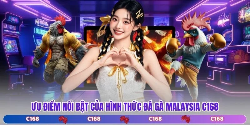 Ưu điểm nổi bật của hình thức đá gà malaysia C168